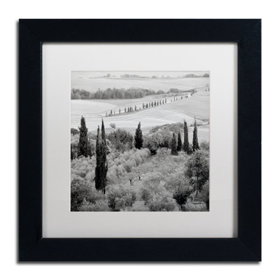 Alan Blaustein " Tuscany VI " by Alan Blaustein