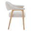 Chaise rembourrée Efren Daina Rosswell-117534158