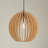 1 - Light Single Globe Pendant