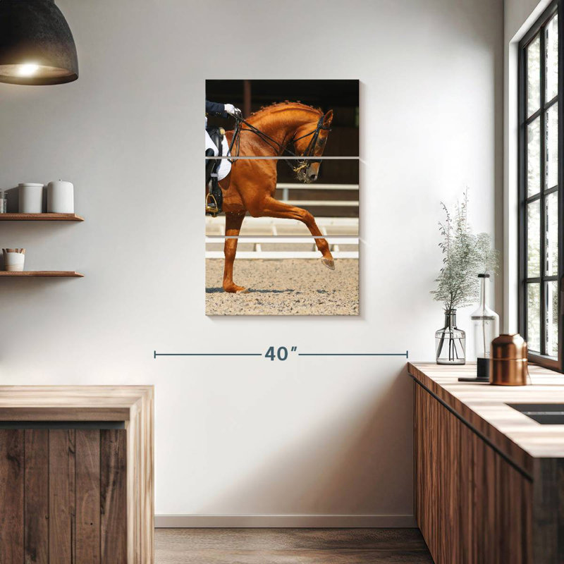 Cheval oseille Sireci, H 38 po x l 24 po