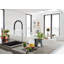 Essence New Single Handle Kitchen Faucet with SilkMove® and with Accessories-44388647