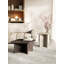 Coffee Table-288386170-288386165