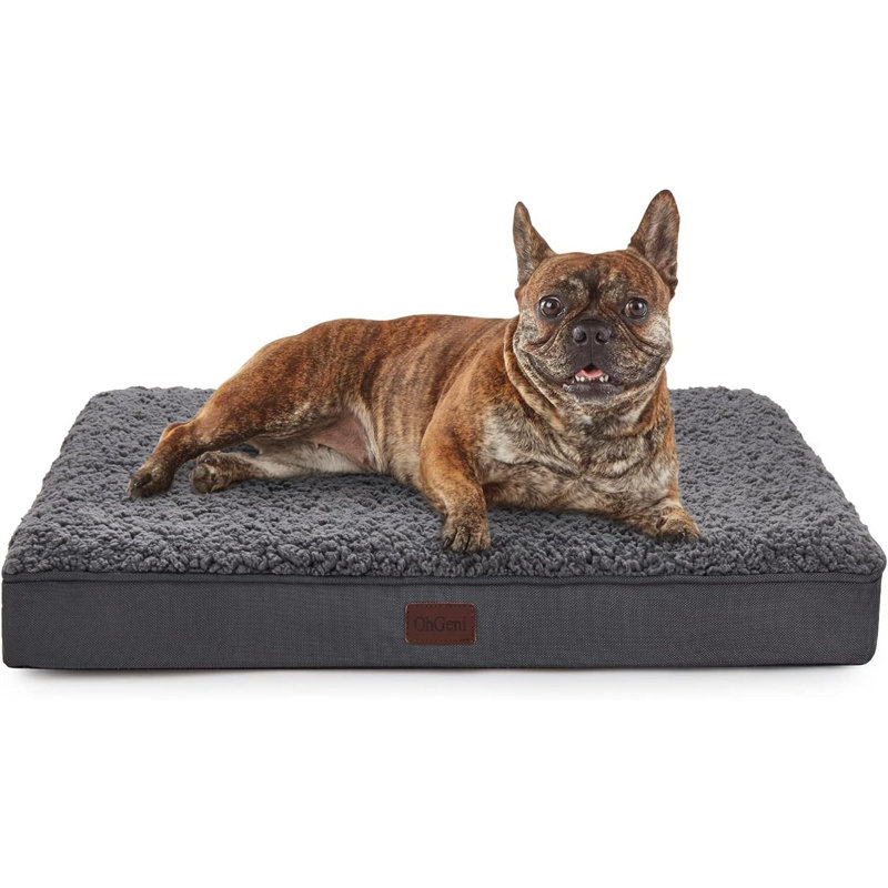 Lit orthopédique pour animaux en coton ToccoLeggero, Très très grand (l 30 po x P 20 po x H 3 po), Gris
