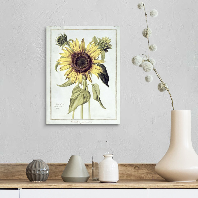 Helianthus Annuus (tournesol), art mural sur toile, H 12 po x l 16 po x P 1,25 po, Toile tendue