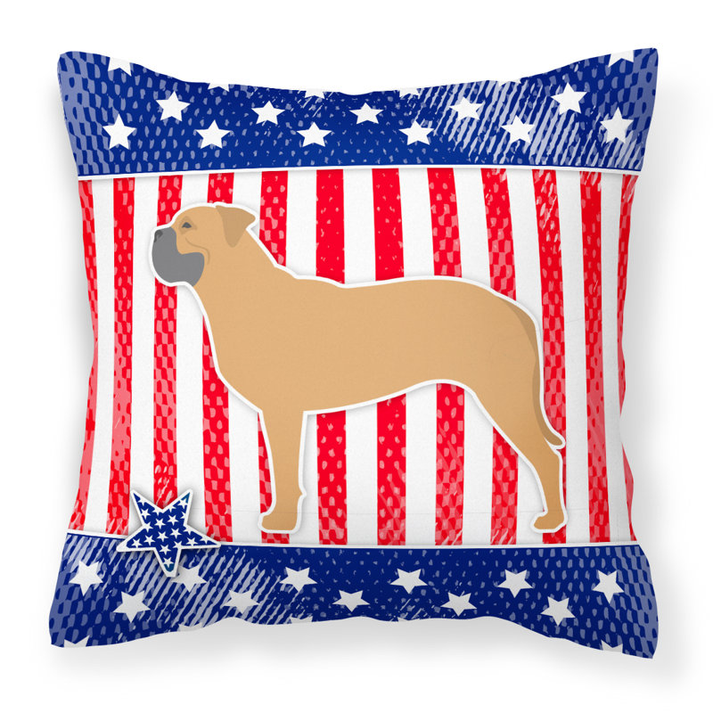 Coussin décoratif intérieur/extérieur patriotique, H 18 po x l 18 po x P 3 po