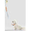 Laisse ajustable mains libres et collier 6-en-1 avec lampe DEL Luna 8 pi-112281010-133664132