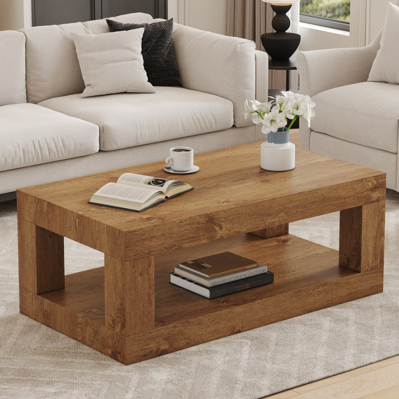 Table basse moderne à 2 niveaux pour mobilier de salon, table centrale rectangulaire avec tablette de rangement ouverte. La table basse à double couche est fabriquée en panneau de fibres à densité moyenne. Assemblage stable et durable, facile