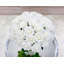 Arrangement d'hortensias