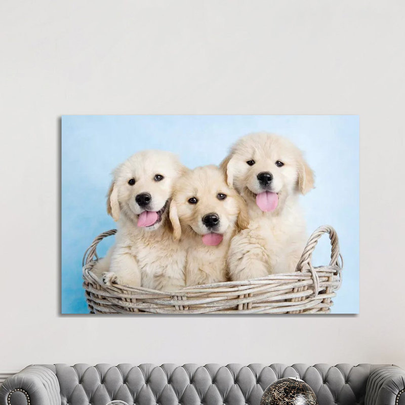 Buffy, Biskit, And Beau by Rachael Hale - Print on Canvas, Wrapped Canvas, 66.04 cm H x 45.72 cm W x 3.175 cm D