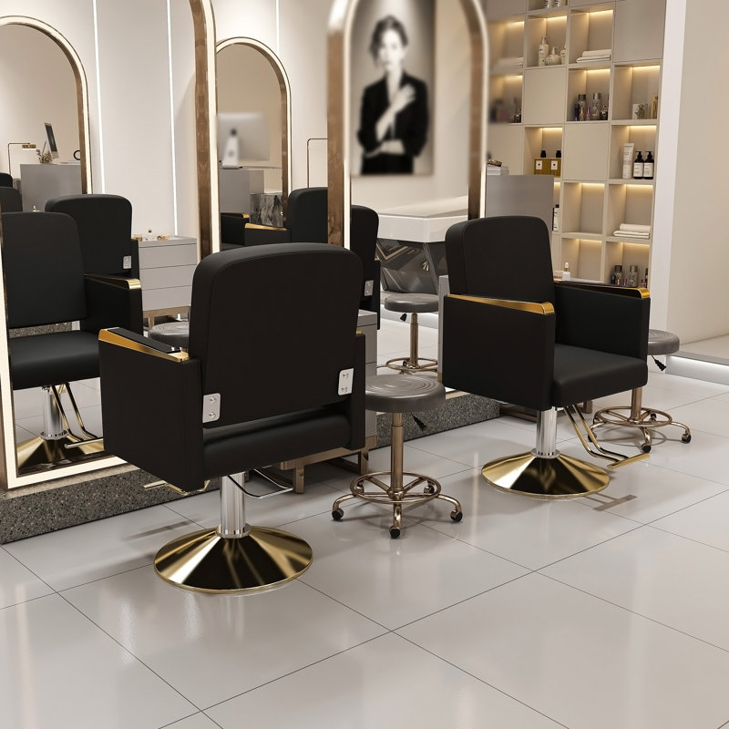Chaise de salon hydraulique pivotante à 360 ° - Fauteuil de coiffeur professionnel avec pompe