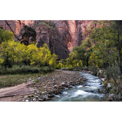 Looking Upstream I by Danny Head - Wrapped Canvas Print