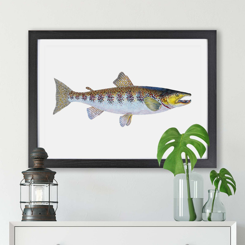 Trout Fish - Framed Print, 45cm H x 63cm W x 2cm D, Black