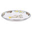 Oyster Medium Tray