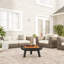 Round Steel Wood Burning Smokeless Fire Pit