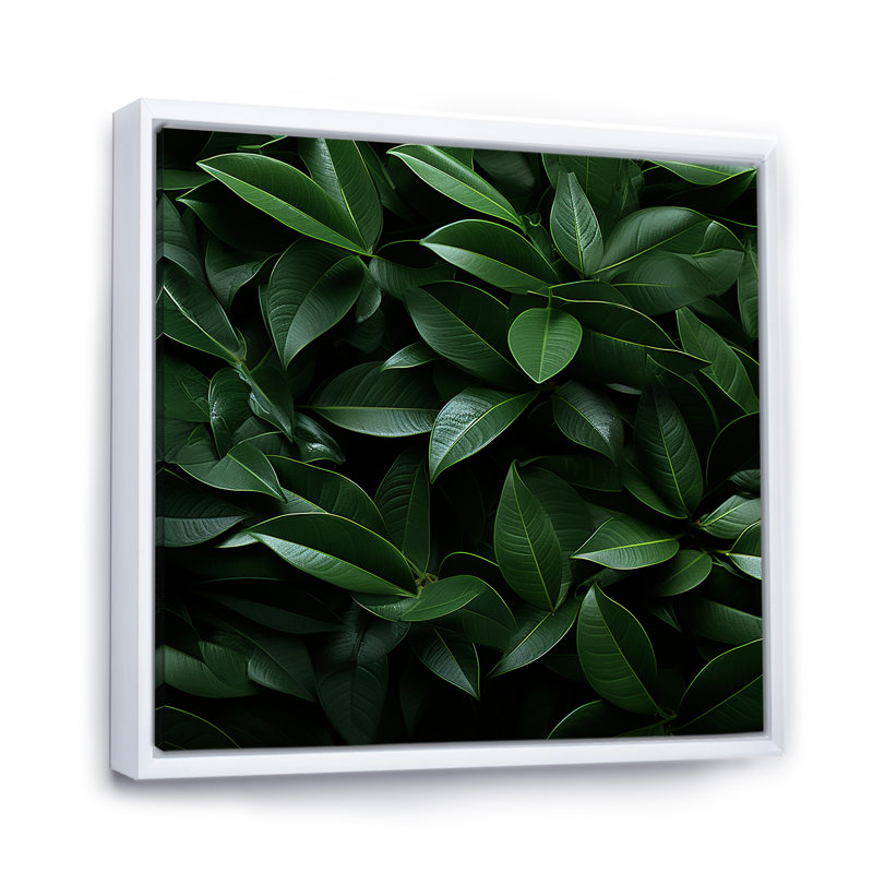 " Tropical Robusta Palm Rhythms I ", White Floater Framed, 30" H x 30" W