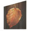Tangerine orange érable translucide feuillage - feuilles, art mural sur bois de pin naturel-1288836904