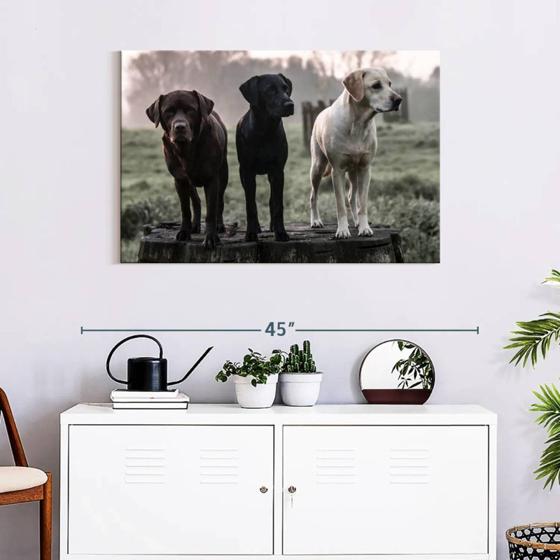 Brampt Labrador Dogs, 24" H x 36" W