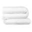 ReserveHepburn Duck All Season Down Comforter-37210895