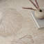 Tapis taupe Nourison Avra-2041277876