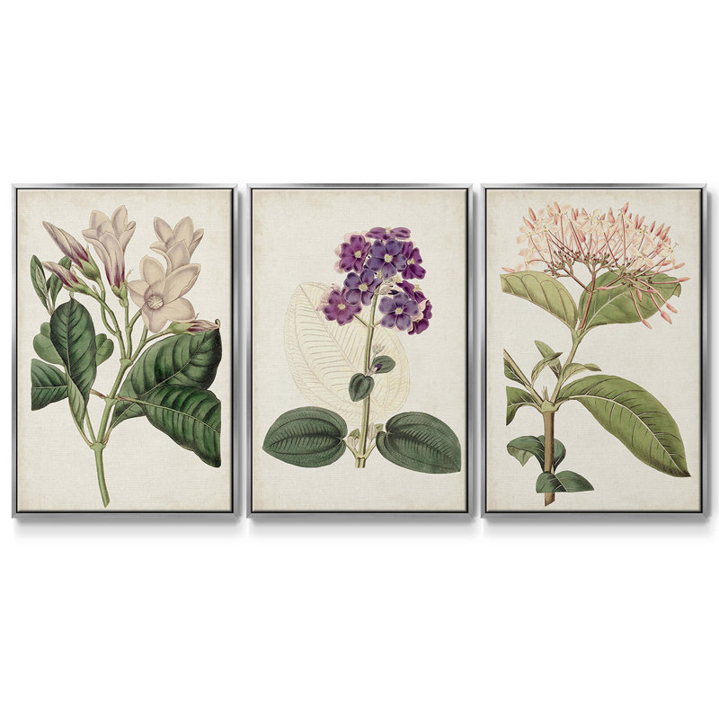 Ensemble de 3 pièces encadrées sur toile Antique Botanical Collection, H 27 po x l 54 po, Argent