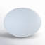 Flatball Battery Powered Integrated LED Color Changing Outdoor Floating Light-17933712