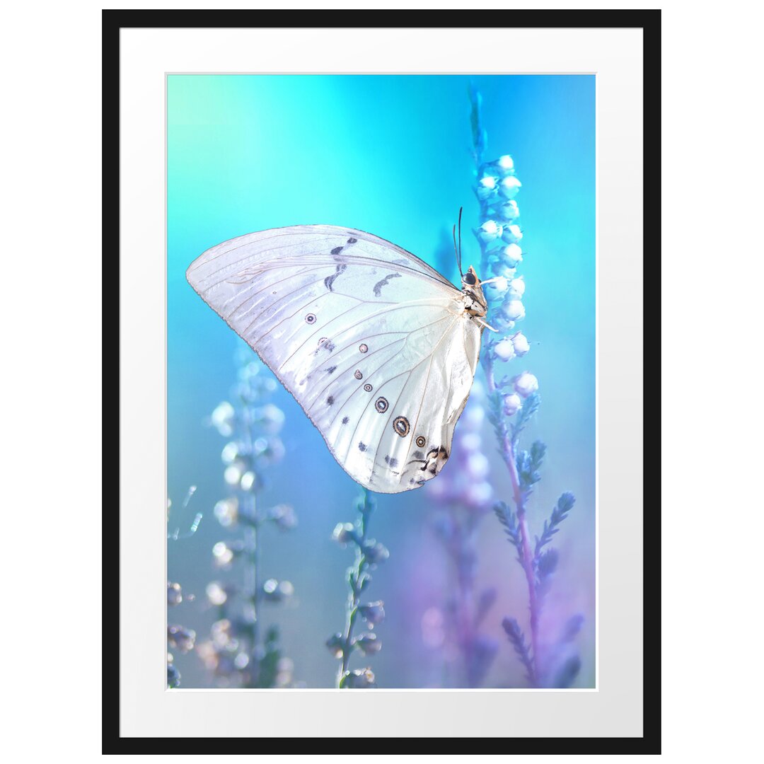 Gerahmtes Poster Schmetterling auf Blütenknospen