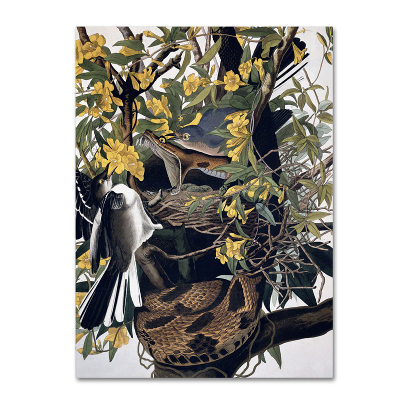 «Mocking Birds and Snake» par John James Audubon, reproduction sur toile, H 32 po x l 24 po x P 2 po