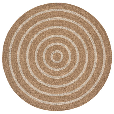 Braided Hand Woven No Pattern Indoor Rug