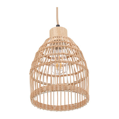 1 - Light  Pendant