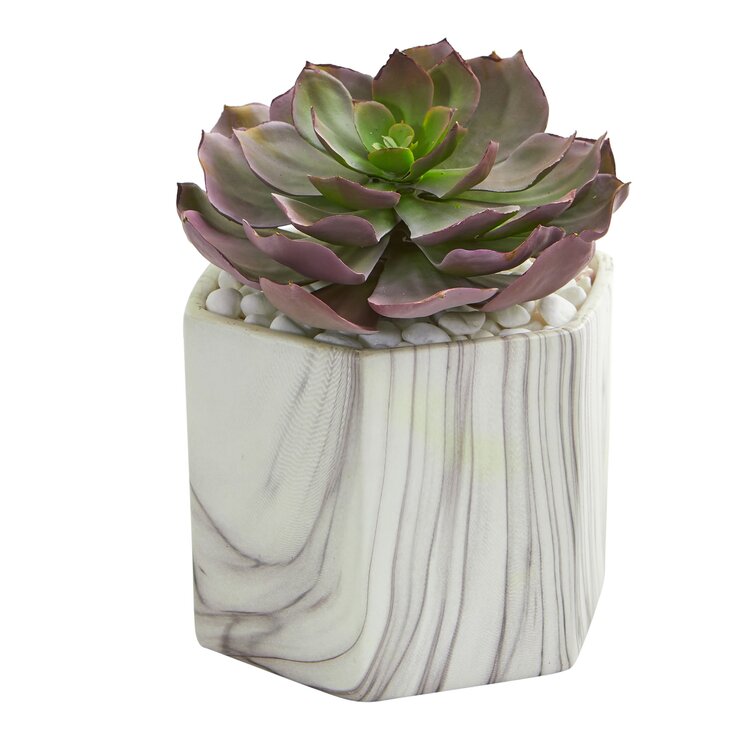 George Oliver 8'' Faux Cactus Plant in Ceramic Decorative Vase ...