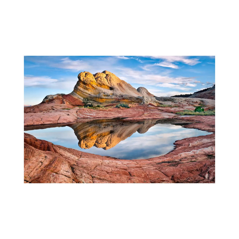 David Drost - Wrapped Canvas Print, 66.04 cm H x 45.72 cm W x 3.175 cm D