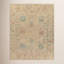 Newham Wool Oriental Area Rug in Pink-1284131512
