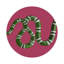 Sous-verres ronds en cuir serpent framboise vegan-119015237
