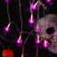 Manon Holiday Lighting