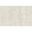 Area Rug in Ivory/White-252328232
