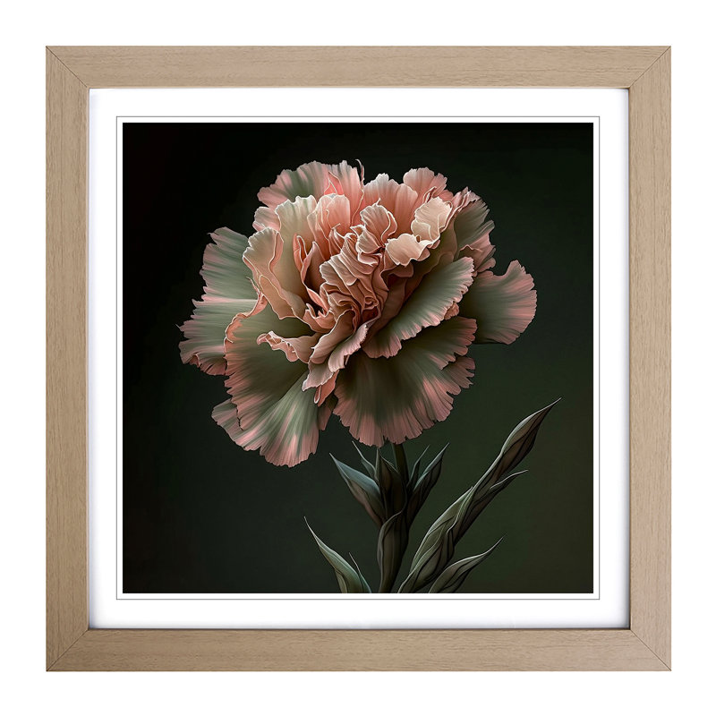 Carnation Flower Realism - Framed Print, Oak