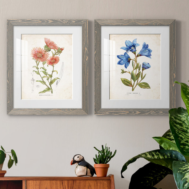 «Botanical I», ensemble de 2 reproductions d'art, Blanc, H 24 po x l 36 po x P 1,5 po, Cadre en papier gris