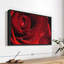 Impression sur toile Fresh Red Rose-102860489