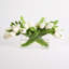 Arrangement floral de tulipes dans un vase-270152390