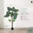 Latitude Run® Artificial Monstera Tropical Palm Tree Home Decoration, 72 Inches