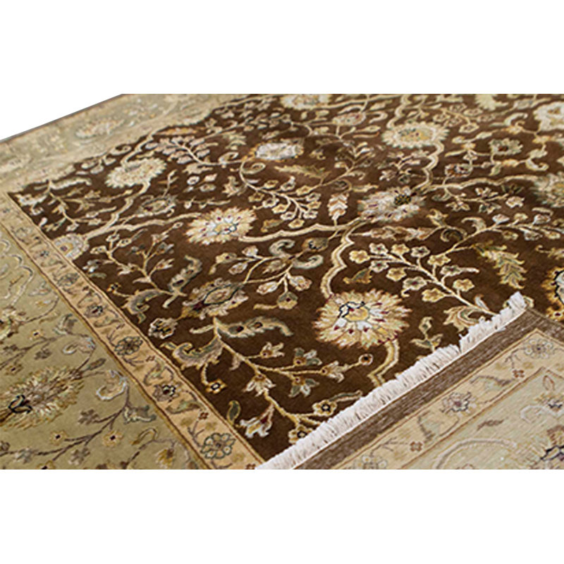 Chantel Oriental Area Rug in Brown/Green
