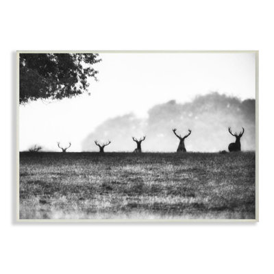 « cerf family photo », impression sur toile
