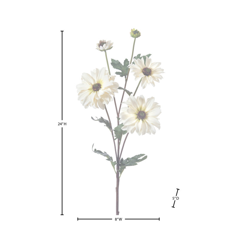 Daisy Shasta vaporisateur 24 po , Blanc
