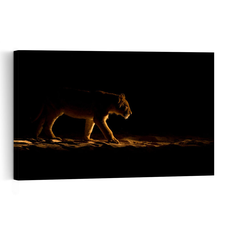 Golden Lioness Dramatic Abstract Contemporary Cat Lion Wildlife Landscape Wall Art Print, 40.64cm H x 60.96cm W