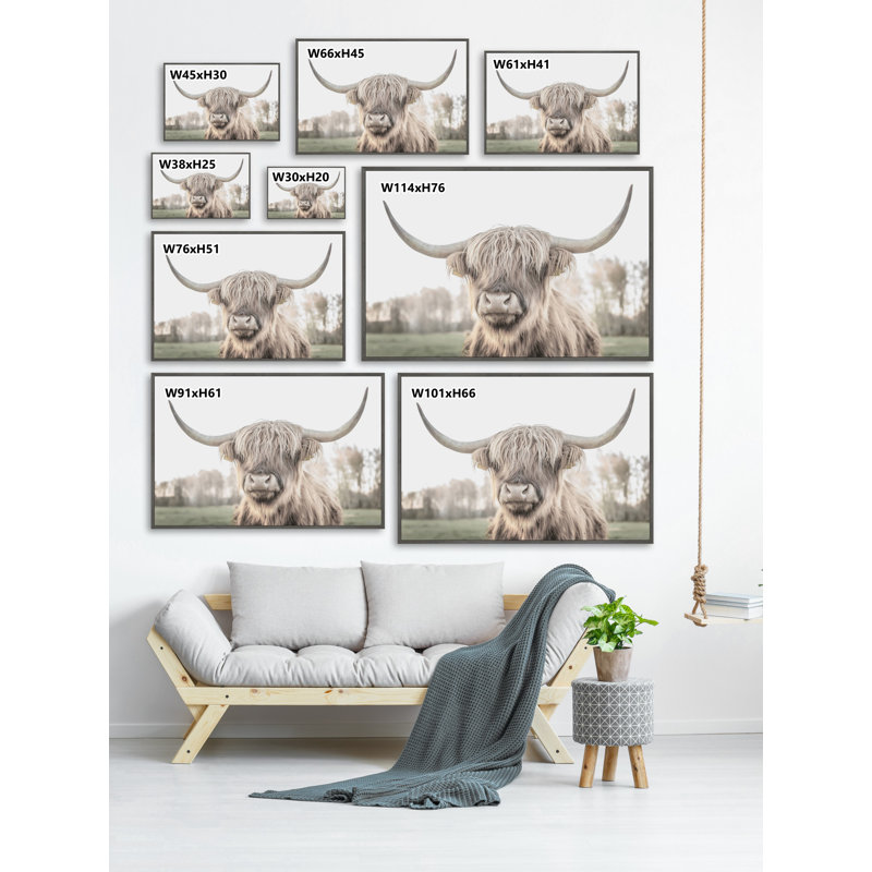 Cattle Portrait - Print, Floater Grey Framed Canvas, 61cm H x 61cm W x 3.81cm D