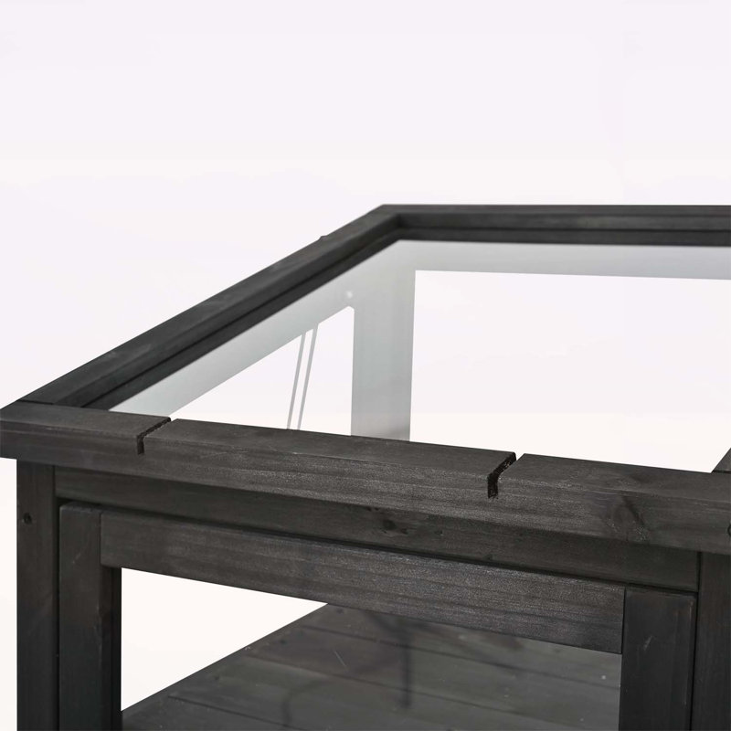 Portable Mini Wooden Greenhouse with Versatile Features for All Plants, Black