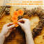 Arrangement de souci-1194958467