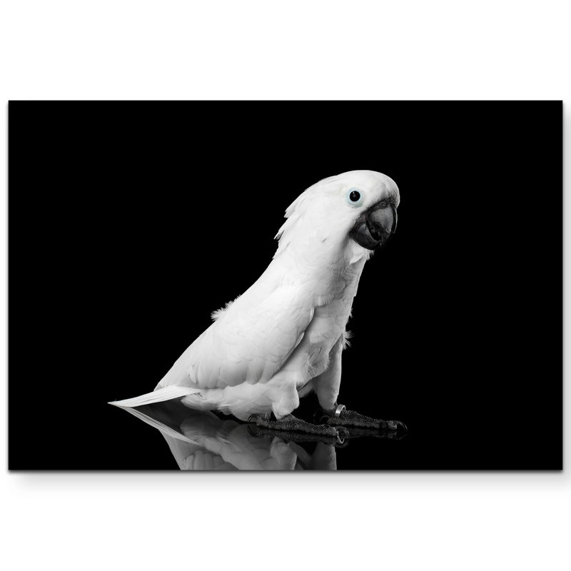 1 Piece Wrapped Canvas Wall Art, 120cm L x 80cm W