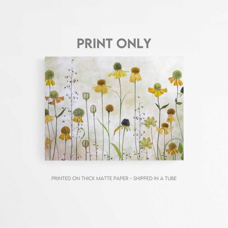 Wild Meadow Blooms - reproduction d'art botanique douce, H 12 po x l 16 po, Ne s’applique pas, Impression sans cadre