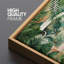 Palmier tropical, arche tranquille, vue sur le jardin, feuillage tropical luxuriant, afro-américain-94945992-111176066